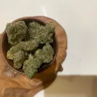 Business 4 image CHALICE FARMS RECREATIONAL MARIJUANA DISPENSARY - POWELL Cannabis Dispensaries in Portland OR