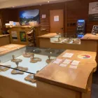 Business 10 image CHALICE FARMS RECREATIONAL MARIJUANA DISPENSARY - POWELL Cannabis Dispensaries in Portland OR