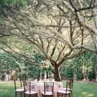 Business 9 image CHANCEY CHARM Wedding Planners in Richmond VA