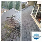 Business 6 image CHARITY'S ROOF AND GUTTER CLEANING, LLC Gutter & Downspout Cleaning & Repair in Portland OR