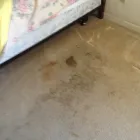 Business 5 image CHEM-DRY CLASSIC Water Damage Restoration in Sacramento CA