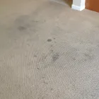 Business 1 image CHEM-DRY CLASSIC Water Damage Restoration in Sacramento CA