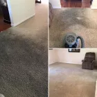 Business 7 image CHEM-DRY OF NORTHERN UTAH Floor & Tile Cleaning in Hyde Park UT