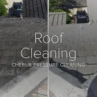 Business 3 image CHERUB PRESSURE CLEANING Roof Cleaning in Orlando FL