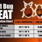 Business 1 image CHICAGO BED BUG KILLER Pest Control Service in Chicago IL