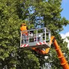 Business 5 image CHICAGO TREE SERVICES Tree Service in Chicago IL