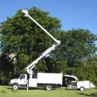 Business 4 image CHICAGO TREE SERVICES Tree Service in Chicago IL