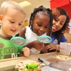 Business 1 image CHILDCARE NETWORK Preschool in Phenix City AL