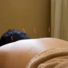 Business 3 image CHIROPRACTIC THERAPEUTICS Clinics in Indianapolis IN