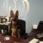 Business 6 image CIANI PORTILLO: ALLSTATE INSURANCE Home Insurance Quote in Oklahoma City OK