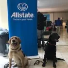 Business 7 image CIANI PORTILLO: ALLSTATE INSURANCE Home Insurance Quote in Oklahoma City OK