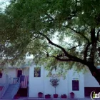 Business 2 image CIMARRON ANIMAL HOSPITAL Veterinary Information & Referral Services in Tucson AZ