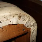 Business 1 image CIMEXTEK INC. in San Jose CA