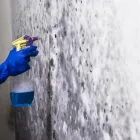 Business 1 image CINDERELLA CITY MOLD INSPECTIONS in Oklahoma City OK