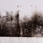 Business 4 image CINDERELLA CITY MOLD INSPECTIONS in Oklahoma City OK