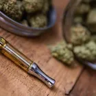 Business 2 image CITY BUDZ DISPENSARY Cannabis Dispensaries in Oklahoma City OK