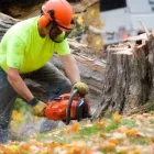 Business 2 image CITY OF TREES FENCING CO Local Fencing Contractors in Sacramento CA