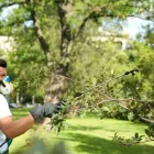 Business 3 image CITY OF TREES FENCING CO Local Fencing Contractors in Sacramento CA