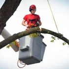 Business 5 image CITY OF TREES FENCING CO Local Fencing Contractors in Sacramento CA