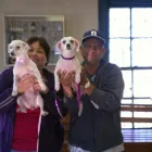 Business 8 image CITY VETERINARY HOSPITAL Veterinary Specialty Services in San Antonio TX