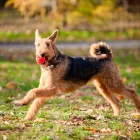 Business 1 image CITY VETERINARY HOSPITAL Veterinary Specialty Services in San Antonio TX