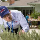 Business 1 image CLARK PEST CONTROL Whiteflies in Riverside CA