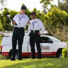 Business 3 image CLARK PEST CONTROL Whiteflies in Riverside CA