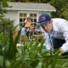 Business 9 image CLARK PEST CONTROL Whiteflies in Riverside CA