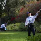 Business 14 image CLARK PEST CONTROL Whiteflies in Riverside CA