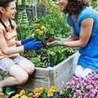 Business 3 image CLEAN CUT LAWN & LANDSCAPE Lawn Care & Garden Maintenance in Brooklyn Park MN