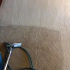 Business 34 image CLEAN RITE CARPET CLEANING in Gahanna OH