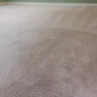 Business 47 image CLEAN RITE CARPET CLEANING in Gahanna OH