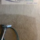 Business 62 image CLEAN RITE CARPET CLEANING in Gahanna OH