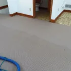 Business 64 image CLEAN RITE CARPET CLEANING in Gahanna OH