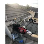 Business 1 image CLEARGATE PEST DEFENSE Pest Control Services in Winnetka CA