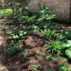 Business 5 image CLS LAWN CARE Landscape Install in Houston TX