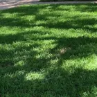 Business 13 image CLS LAWN CARE Landscape Install in Houston TX
