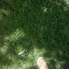 Business 3 image COASTAL CARE in Pawtucket RI