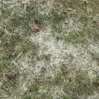 Business 8 image COASTAL CARE in Pawtucket RI