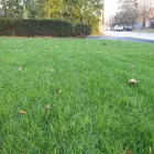 Business 12 image COASTAL CARE in Pawtucket RI