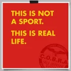 Business 7 image COBRA SELF DEFENSE LEXINGTON KY Sports & Recreation Instruction in Lexington KY