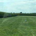 Business 9 image COLLINS MOWING in Bethany IL