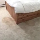 Business 8 image COLONIAL CHEM-DRY Rug Cleaners in Providence RI