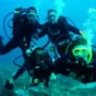 Business 5 image COLORADO SCUBA CENTER Travel & Tourism in Lakewood CO
