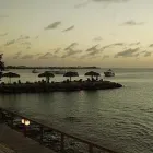 Business 6 image COLORADO SCUBA CENTER Travel & Tourism in Lakewood CO