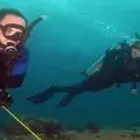 Business 8 image COLORADO SCUBA CENTER Travel & Tourism in Lakewood CO