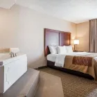Business 5 image COMFORT INN ST LOUIS - WESTPORT Hotels in Saint Louis MO