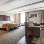 Business 10 image COMFORT INN ST LOUIS - WESTPORT Hotels in Saint Louis MO