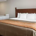 Business 11 image COMFORT INN ST LOUIS - WESTPORT Hotels in Saint Louis MO