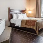 Business 14 image COMFORT INN ST LOUIS - WESTPORT Hotels in Saint Louis MO